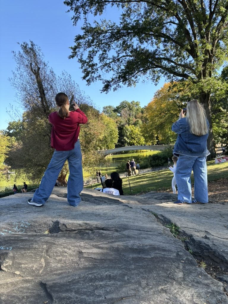 Looking out toward Bow Bridge from a rock in Central Park
