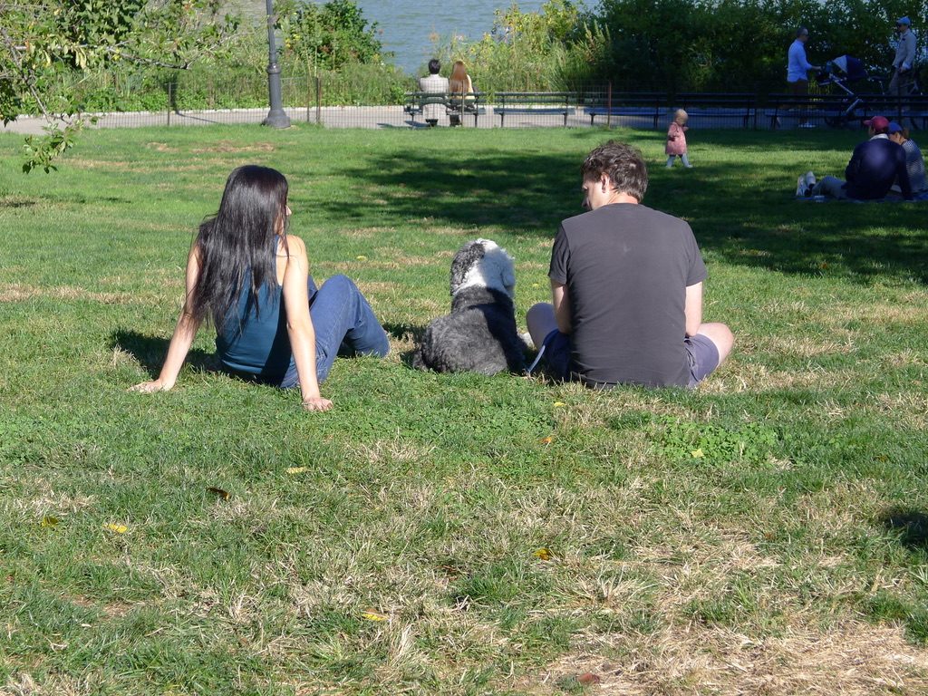 People and a dog relaxing on the lawn near the water
